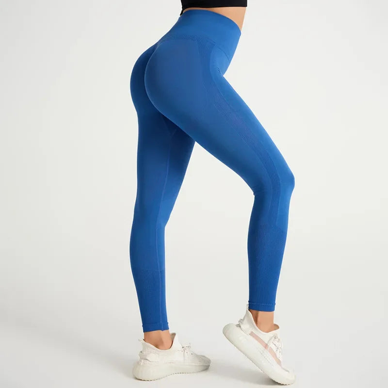 Verus Push-up Leggings - BD WEAR